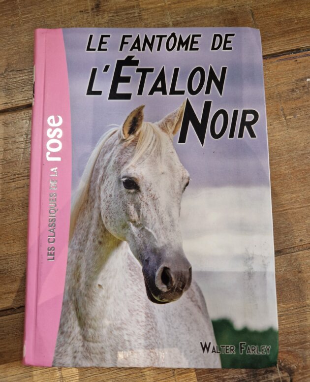 Livre "Le fantôme de l'Etalon noir - n°16" Bibliothèque rose - neuf