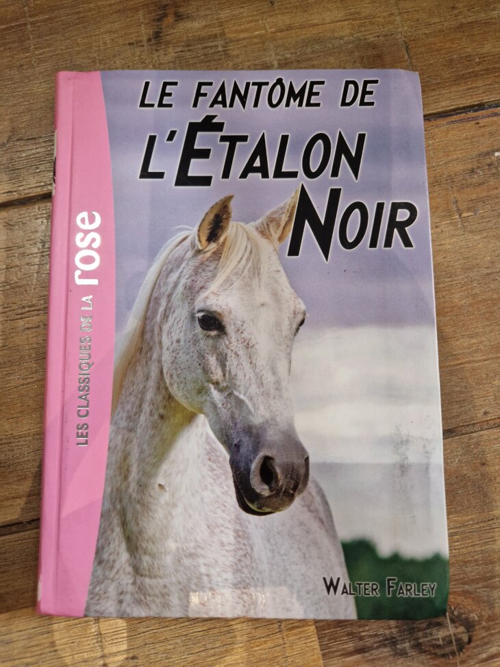Livre "Le fantôme de l'Etalon noir - n°16" Bibliothèque rose - neuf