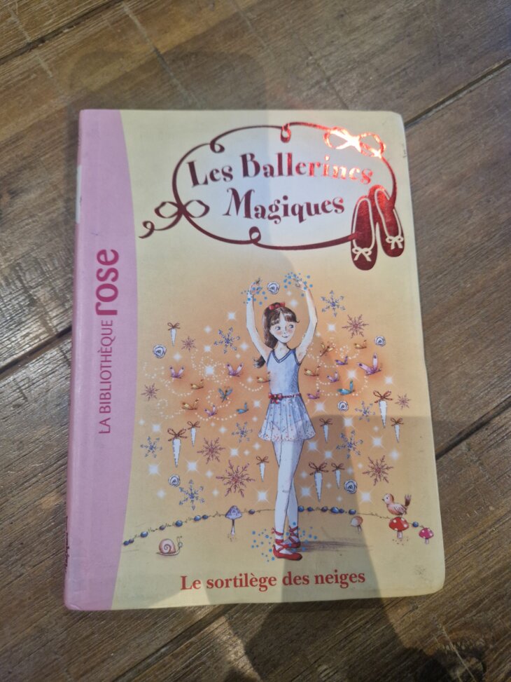 Livre "Les Ballerines magiques n°2 - Le sortilège des neiges" Bibliothèque rose - neuf