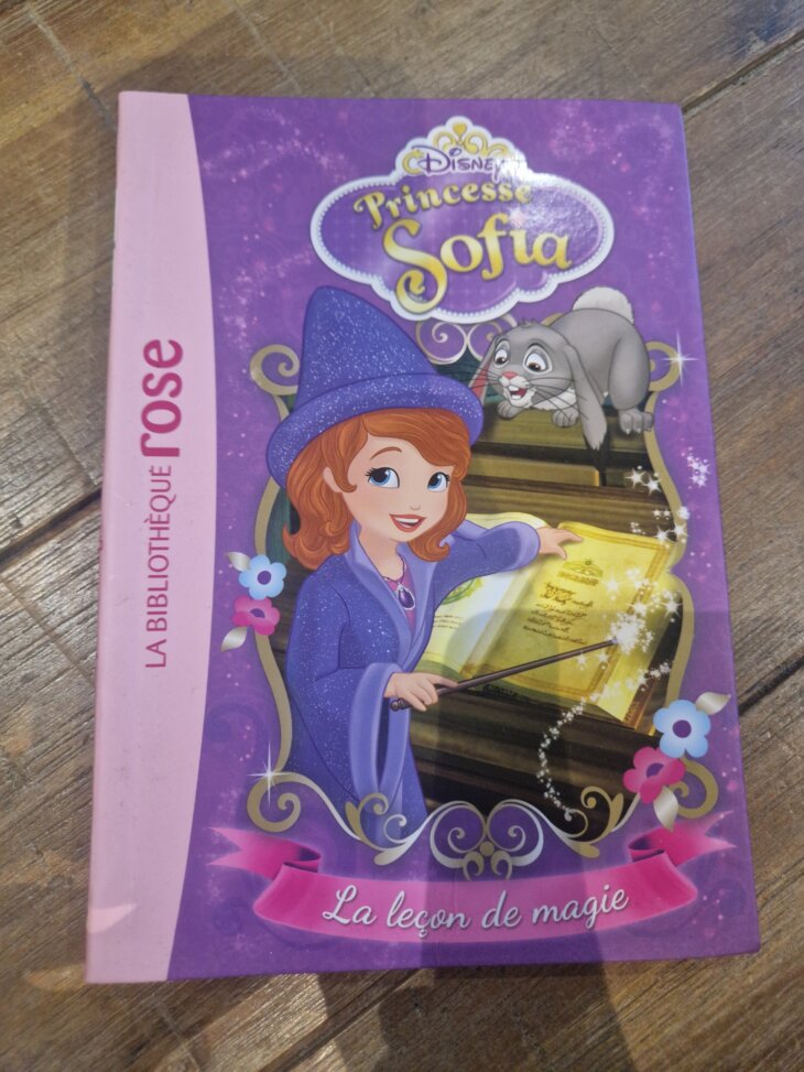 Livre "Princesse Sofia - La leçon de magie n°1" Bibliothèque rose - neuf