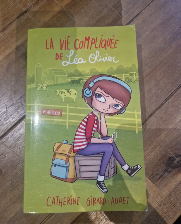 Roman "La vie compliquée de Léa Olivier - Marilou" - très bon état