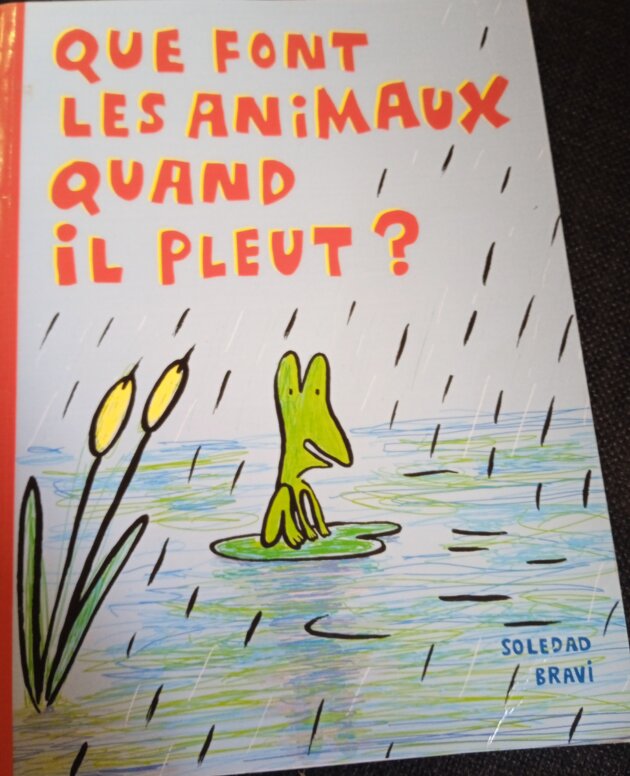 Livre ''que font les animaux quand il pleut''