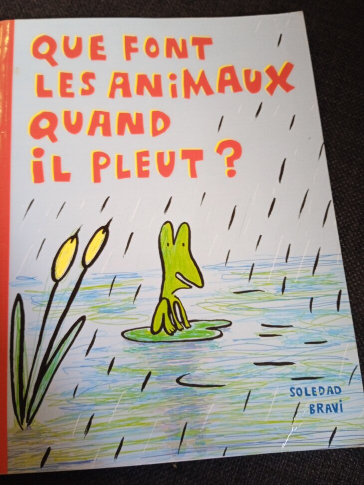 Livre ''que font les animaux quand il pleut''