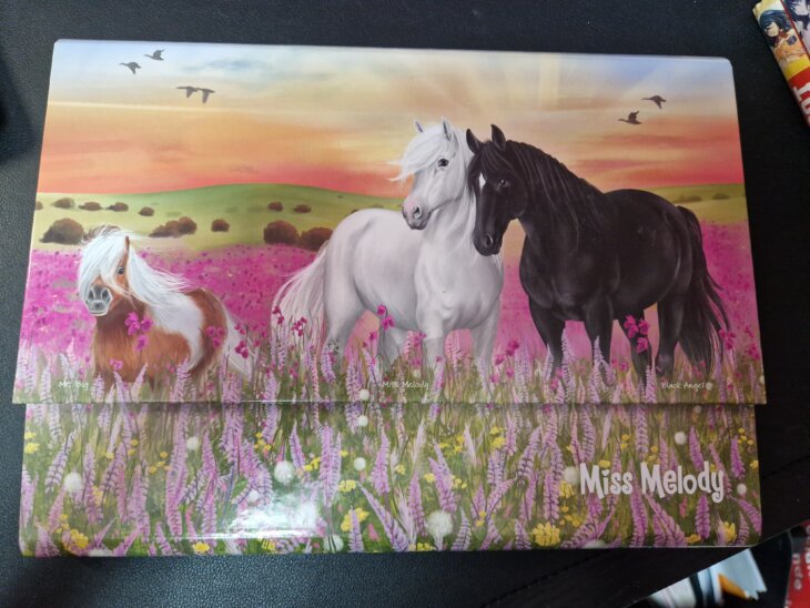 Pochette d'écriture avec papiers et enveloppes Miss Melody chevaux