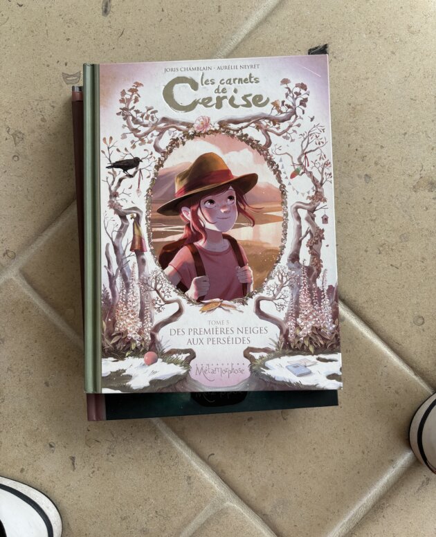 Les carnets de Cerise Tome 5