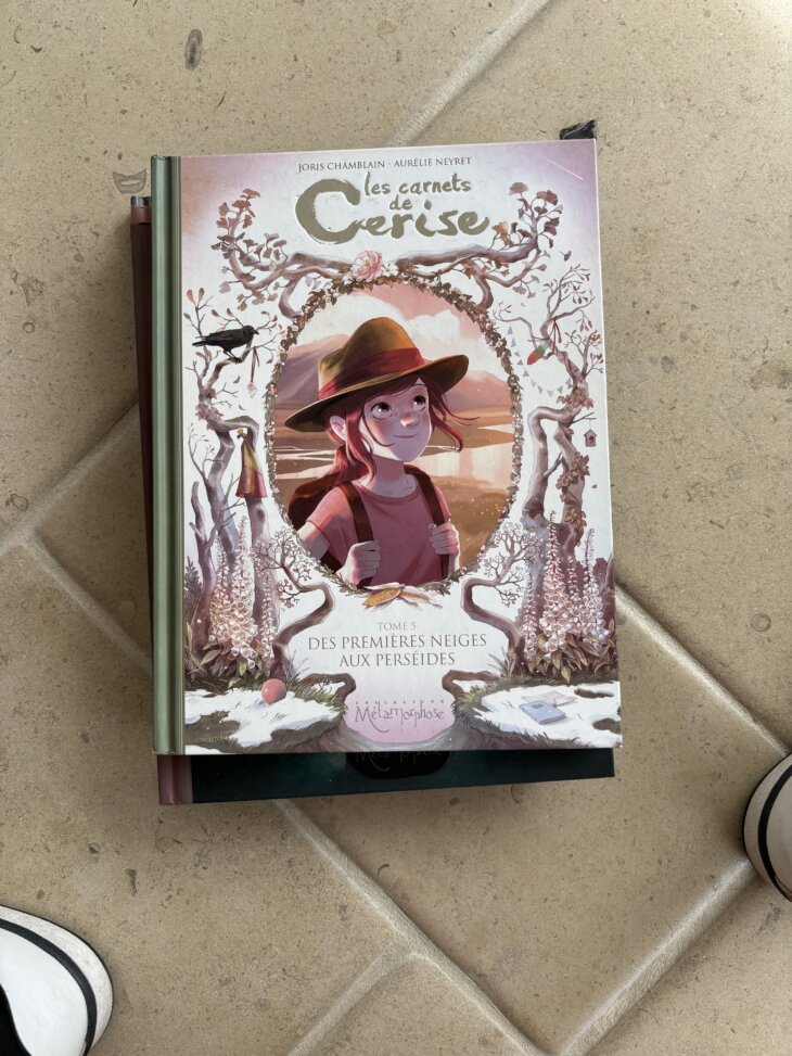 Les carnets de Cerise Tome 5