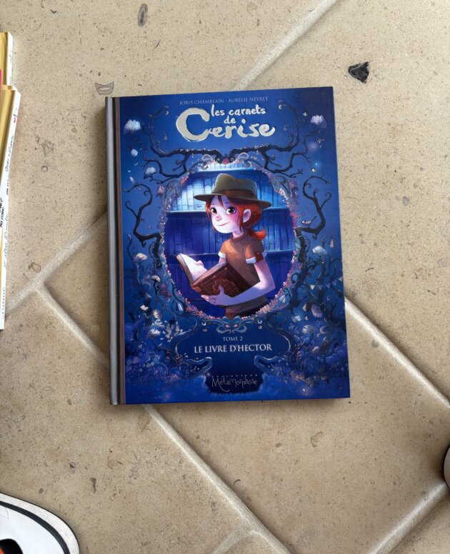 les carnets de Cerise Tome 2