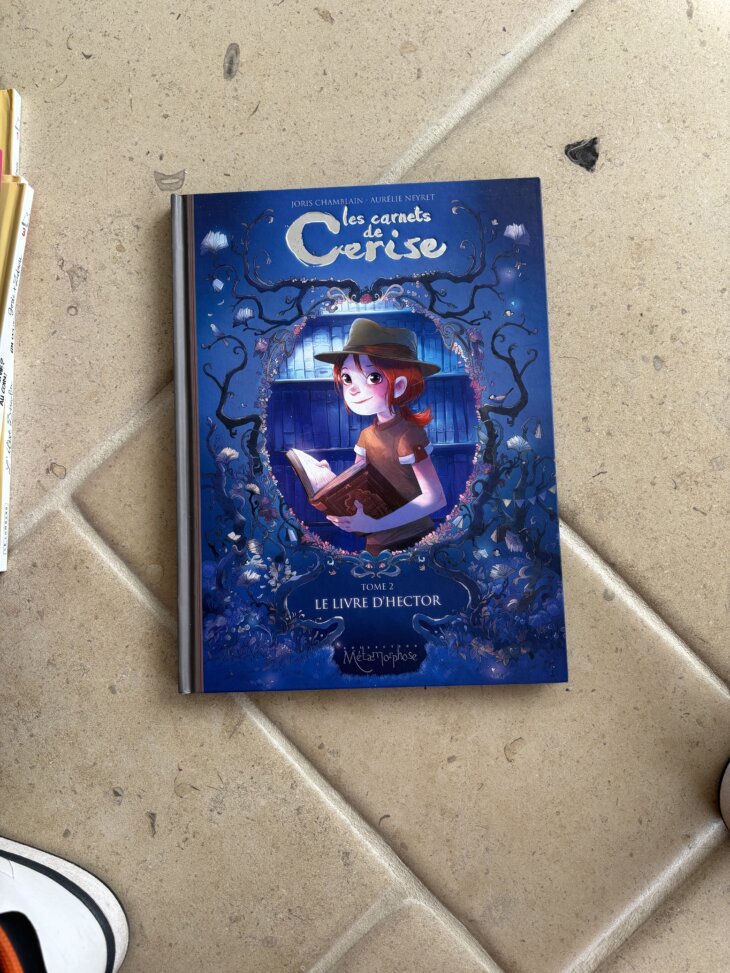 les carnets de Cerise Tome 2